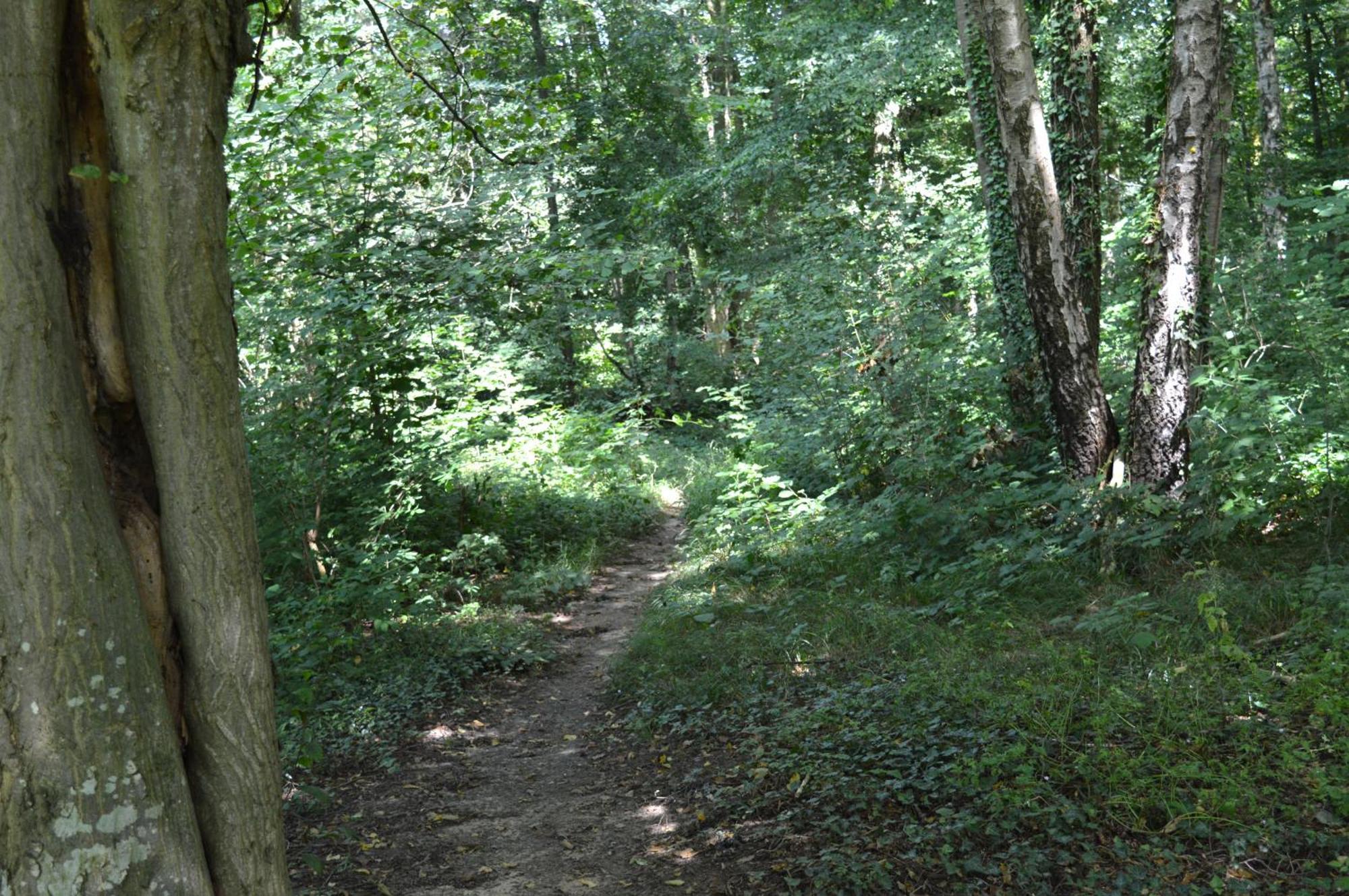Calme Et Verdure 9 Kelmis Zewnętrze zdjęcie